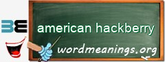 WordMeaning blackboard for american hackberry